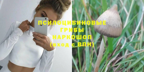 бошки Баксан