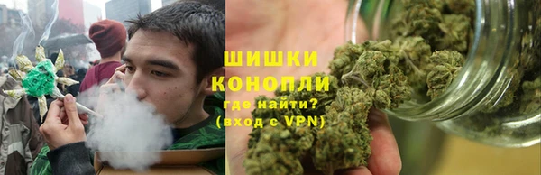 индика Балахна