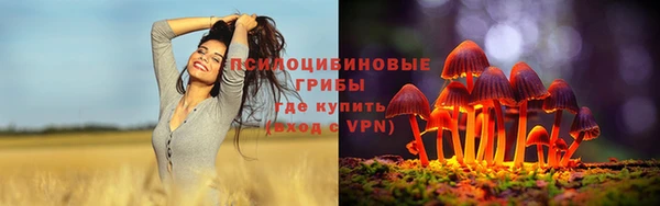 бошки Баксан