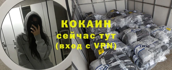 индика Балахна