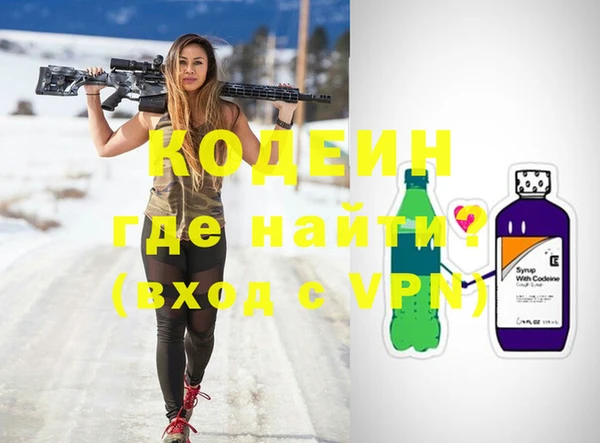 индика Балахна