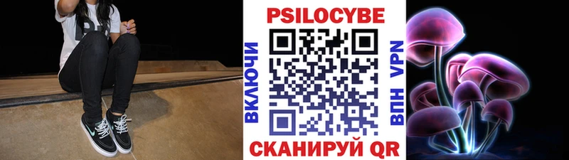 Псилоцибиновые грибы прущие грибы  Михайлов 