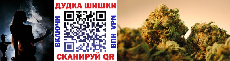Шишки марихуана планчик  сколько стоит  Михайлов 